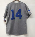 Ernie Banks Chicago Cubs Jersey 1968 Cooperstown Collection product image 1