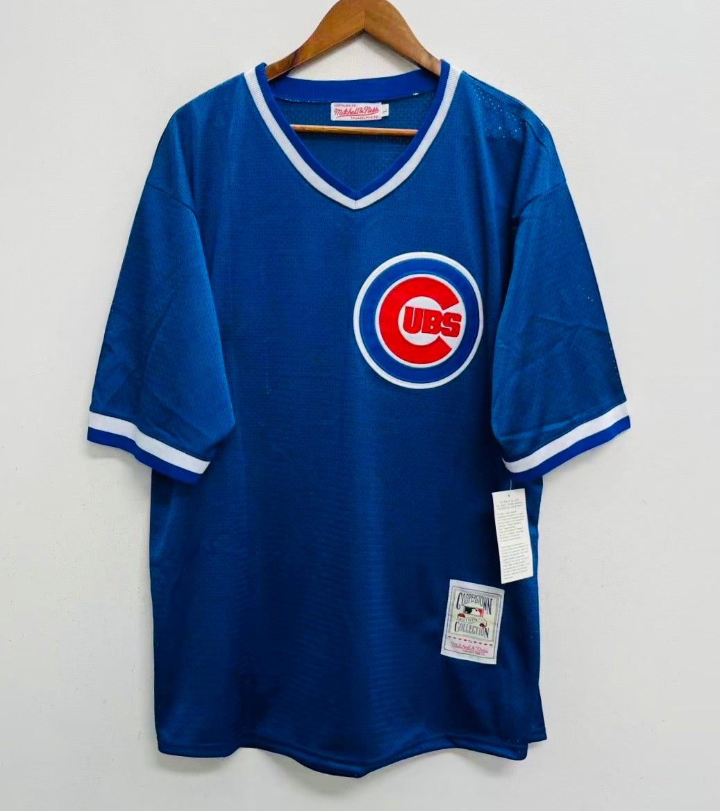 Ryne Sandberg Chicago Cubs Jersey 1988 Majestic blue product image 2