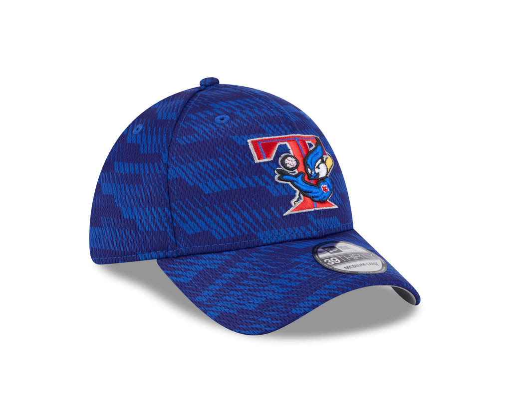 Toronto Blue Jays MLB New Era Men Royal Blue 39Thirty Alternate Logo Stretch Fit Hat product image 6, provided for visual