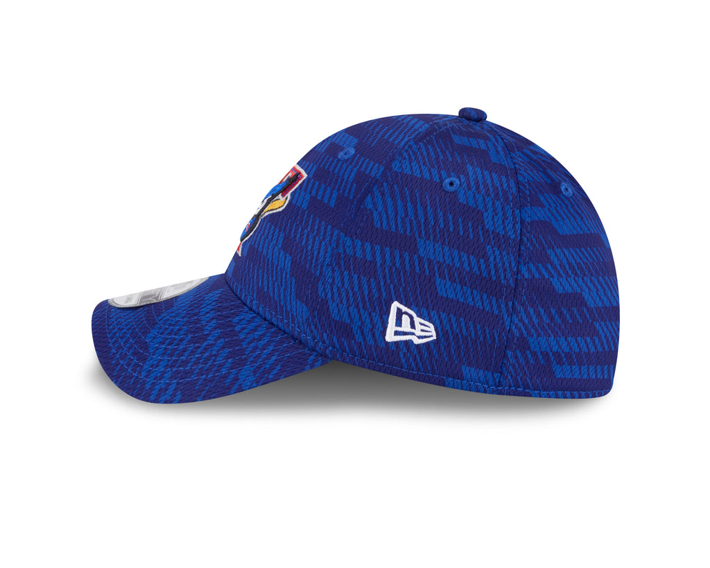 Toronto Blue Jays MLB New Era Men Royal Blue 39Thirty Alternate Logo Stretch Fit Hat product image 4, provided for visual