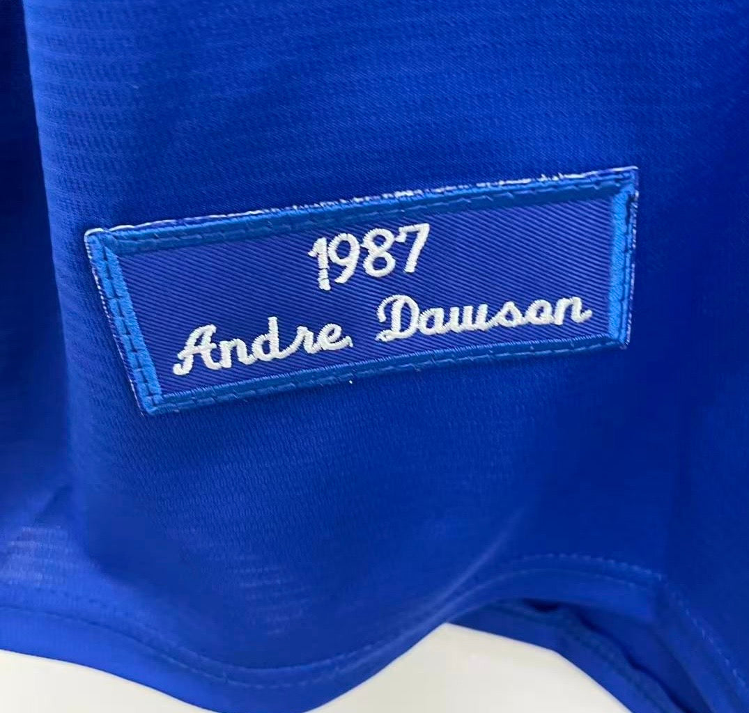 Andre Dawson Chicago Cubs Jersey 1987 Mitchell & Ness product image 4