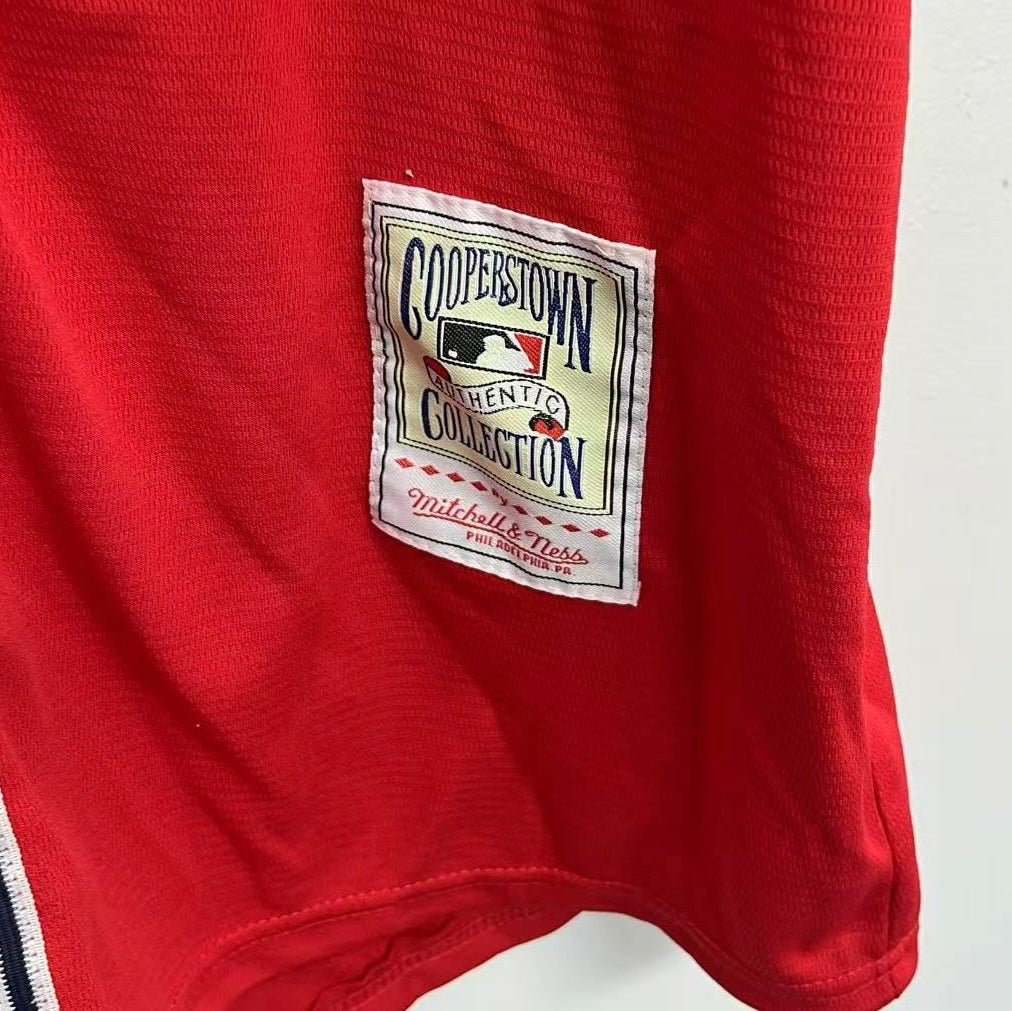 Hank Aaron Atlanta Milwaukee Braves Jersey 1974 Mitchell & product image 6
