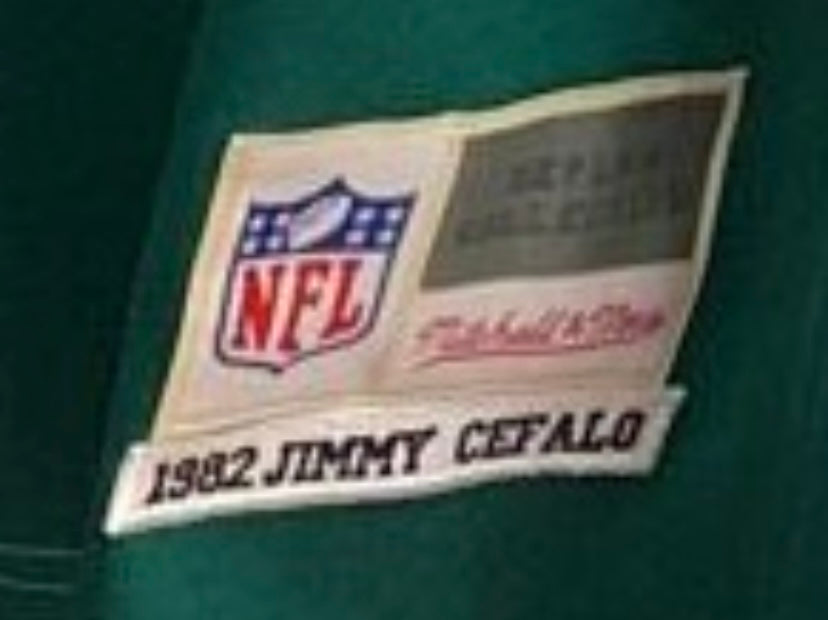 Jimmy Cefalo Miami Dolphins Official NFL Mitchell & Ness product image 3