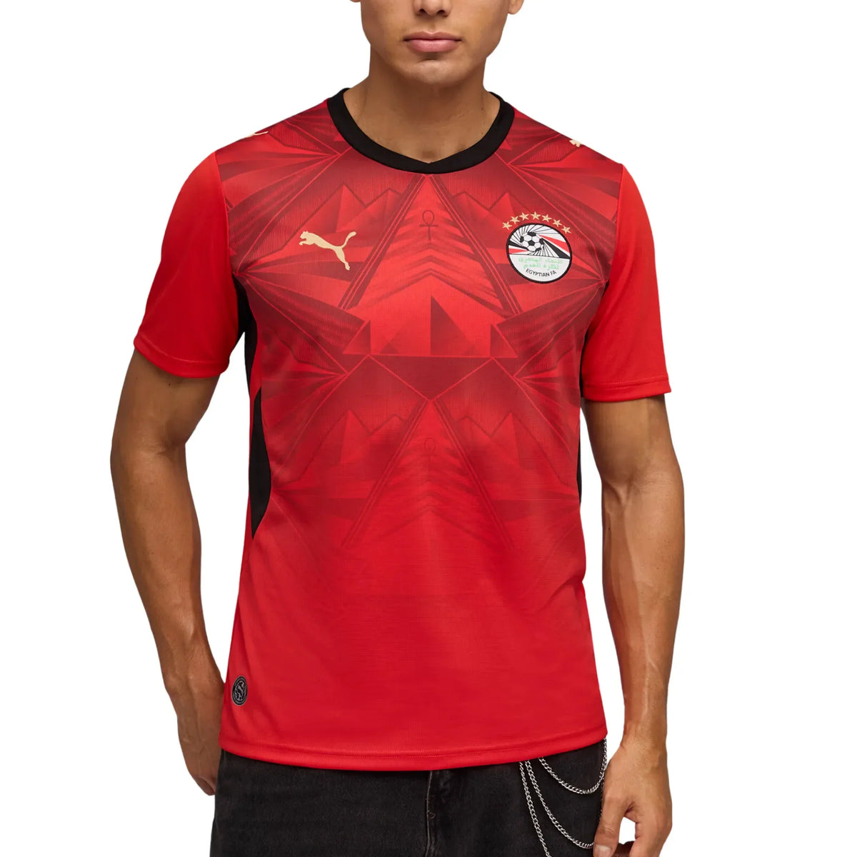 Egypt National Team FIFA Puma Men Red 2026 Home Replica Jersey product image 3, provided for visual reference and product