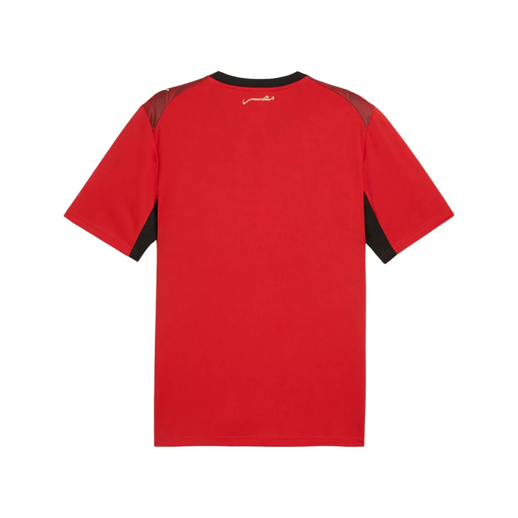 Egypt National Team FIFA Puma Men Red 2026 Home Replica Jersey product image 2, provided for visual reference and product