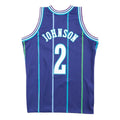 Larry Johnson Charlotte Hornets NBA Mitchell & Ness Men Purple 1994-95 Hardwood Classics Swingman Jersey product image 1,